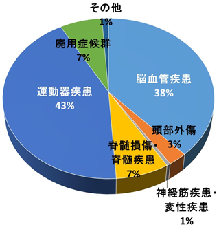 原因疾患（N=186）